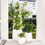 Alisisfores 4 FT Obelisk Trellis for Climbing Plants,Garden Trellis with Extra Thickened Plastic-Coated Metal Pipes, Outdoor & Indoor Garden Support for Potted Plants, Black