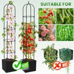 Garden Obelisk Trellis for Climbing Plants - 6.7FT Tall Weather-Resistant Rustproof Metal Plant Flower Support for Roses, Clematis, Tomatoes & Vines, Indoor/Outdoor Use, 11.8”D (2 Pack)