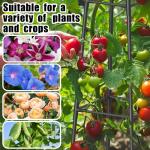 Hsundries 5.2FT Obelisk Trellis for Climbing Plants Outdoor, 16mm Rust-Proof Extra Thickened Plastic-Coated Metal Pipes, Indoor Climbing Support for Potted Plants, Vines, Flowers Stands,Black