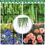 PKBD Tall Garden Arch Trellis for Climbing Plants Outdoor, 4 ft Tall Polyethylene-Coated Stainless Steel Garden Arch for Climbing Vine Vegetable/Fruit/Flower, Cucumber Trellis for Raised Bed, Black
