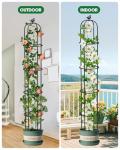 6.2ft Garden Obelisk Trellis for Climbing Plants Rustproof Metal Pipe with Heavy Duty Plastic Coated Garden Outdoor Indoor Potted Plant Support for Clematis Vine Jasmine Support