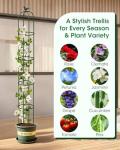 Garden Trellis for Climbing Plants, Rustproof Metal Pipe with Heavy Duty Plastic Coated, Garden Outdoor Indoor Potted Plant Support, Obelisk Garden Trellis for Climbing Vine