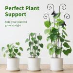 2 Pack 30 Inch Taller Plant Trellis for Potted Climbing Plants Indoor,Expandable Metal Garden Trellis for Climbing Plants,Flowers Vine Ivy, Sturdy Houseplant Support for Potted Plants with Ties