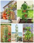 6.2ft Garden Obelisk Trellis for Climbing Plants Rustproof Metal Pipe with Heavy Duty Plastic Coated Garden Outdoor Indoor Potted Plant Support for Clematis Vine Jasmine Support