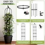 Garden Obelisk Trellis for Climbing Plants Outdoor, 6.2 FT Tomato Cage, Rose, Flowers, Grape, Pea, Cucumber Trellis, Rustproof Plastic Coated Metal Plant Support Trellis for Potted Plants (2 Pack)