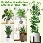 2 Pack 30 Inch Taller Plant Trellis for Potted Climbing Plants Indoor,Expandable Metal Garden Trellis for Climbing Plants,Flowers Vine Ivy, Sturdy Houseplant Support for Potted Plants with Ties