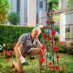 Lalahoni Garden Trellis for Climbing Plants, 67inch Tall Garden Obelisk Trellis for Climbing Potted Plant Outdoor Support Vine Flower Rose Vegetable Tomato Cucumber Trellis, Lightweight, 2 Pack