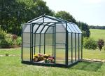 Palram - Canopia Rion Grand Gardener 2 | 8 Ft. x 8 Ft. Greenhouse, Large Clear Twin Wall Polycarbonate Heavy Duty Green House DIY Kit for Garden, Plants, Walk-in for Outdoors with Window Vent (Green)