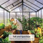 Palram - Canopia Glory 8 Ft. x 8 Ft. Greenhouse Kit Hobby DIY Walk In Green House Heavy Duty Polycarbonate with Aluminium Frame, with Lockable Door and Vent for Garden, Backyard (Gray)