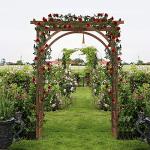 VINGLI 85in Wooden Garden Arch and Trellis