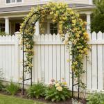 Rustproof Metal Garden Arch Trellis for Climbing Plants