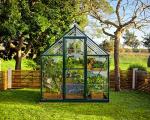 Palram - Canopia 6x8 Greenhouse: Walk-In, UV Polycarbonate Panels, Heavy Duty Aluminum Frame, Lockable Door