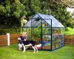 Palram - Canopia 6x8 Greenhouse: Walk-In, UV Polycarbonate Panels, Heavy Duty Aluminum Frame, Lockable Door