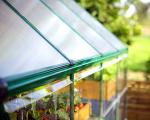 Palram - Canopia 6x8 Greenhouse: Walk-In, UV Polycarbonate Panels, Heavy Duty Aluminum Frame, Lockable Door