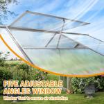 VINGLI 6x10 FT Greenhouse for Outdoors, Large Walk-in Polycarbonate Greenhouse with 5 Roof Vents for Outside Garden Backyard, Easy Setup, Silver