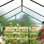 6×6 FT Greenhouse, Large Walk in Greenhouses for Outdoors and Garden Planting, Polycarbonate Greenhouse with Enhanced Aluminum Frame, Green Houses with Quick Setup Structure and Roof Vent, Green