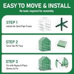 SPECILITE 56×56×78Inch Walk-in Greenhouse, Heavy Duty Small Plant House with Thicken PE Cover and Steel Frame, for Garden, Outdoors, Indoors, Green