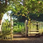 VINGLI Steel Garden Arbor for Climbing Plants