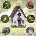 Bird Houses for Outside Rustic Cottage Birdhouse with Thatch Roof – Hand-Painted Resin Birdhouses for Outdoors for Bluebird Finches Cardinals Bird Nesting Garden, Patio, Yard