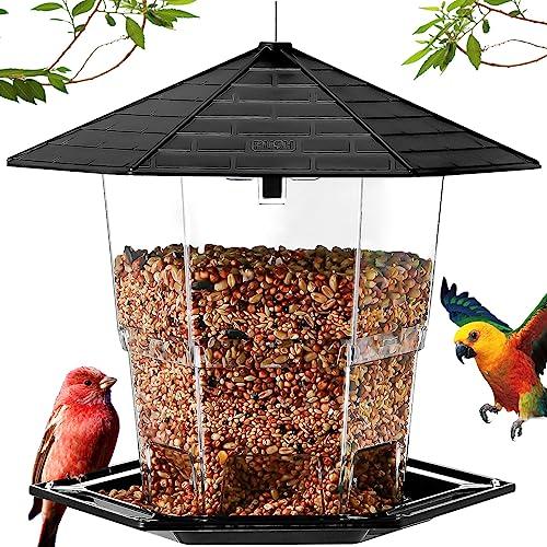 Bird Feeders