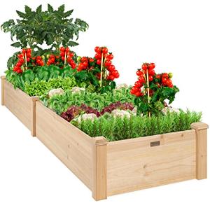 Outdoor Wooden Raised Garden Bed Planter - 8x2ft