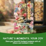 Birdream 2 Pack Bird Feeders for Outdoor Hanging, Assembly Required, 1-Min Easy Setup, Charming Castle Design, Attracting Cardinals Chickadees Goldfinches & Sparrows - Black