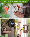 Window Bird Feeder, Metal - with Strong Suction Cups, Large Outdoor for Viewing Bird Watching Gift (Curved)