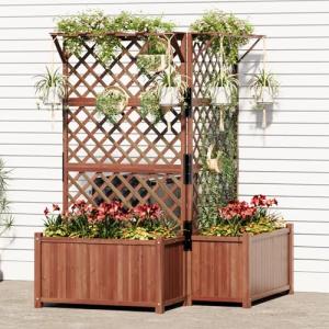 2 Pack Raised Garden Bed with Trellis