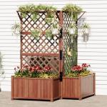 2 Pack Raised Garden Bed with Trellis