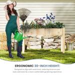 DUMOS 48x24 Wood Raised Garden Bed with Legs