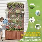 2 Pack Raised Garden Bed with Trellis