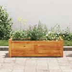 Wooden Raised Garden Bed for Flowers and Plants