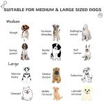 PawHut Outdoor Dog House Cabin Style, Wooden Raised Pet Kennel with Asphalt Roof, Front Door, Side Window, Porch for Medium/Large Dogs, Loading 53 lbs, Yellow