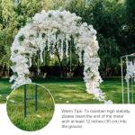 Metal Garden Arch Trellis for Climbing Plants