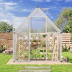 6x4 ft Outdoor Greenhouse with Easy Setup