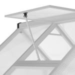 6x4 ft Outdoor Greenhouse with Easy Setup