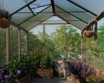 Canopia Natura 8' x 12' Cedar Greenhouse