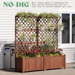 2 Pack Raised Garden Bed with Trellis