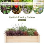 Giantex Rectangular Wooden Raised Garden Bed