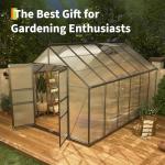 8x12 ft Polycarbonate Walk-In Greenhouse with Vents