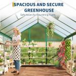 6X10 FT Outdoor Walk-In Greenhouse Kit