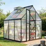 6x6 FT Outdoor Polycarbonate Greenhouse with Vent