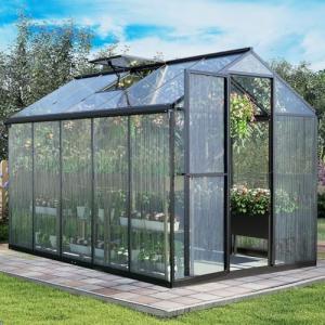 Aoodor 6x10 Ft Walk-in Greenhouse with Lockable Door