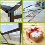 Outdoor 8x10 FT Polycarbonate Walk-In Greenhouse