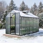 Aoodor 6x10 Ft Walk-in Greenhouse with Lockable Door