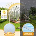Vingli 6x10 FT Heavy Duty Outdoor Greenhouse