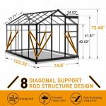 Vingli 6x10 FT Heavy Duty Outdoor Greenhouse