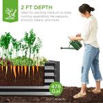 Outdoor Metal Raised Garden Bed for Vegetables & Herbs