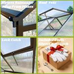 6x6 FT Outdoor Polycarbonate Greenhouse with Vent