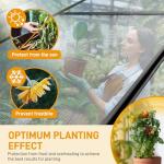 Vingli 6x10 FT Heavy Duty Outdoor Greenhouse